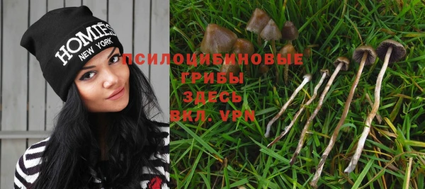 мдма Богородицк