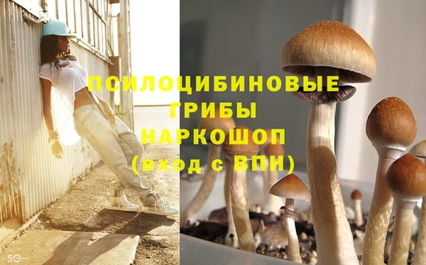 МДМА Богданович